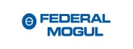 federal mogul